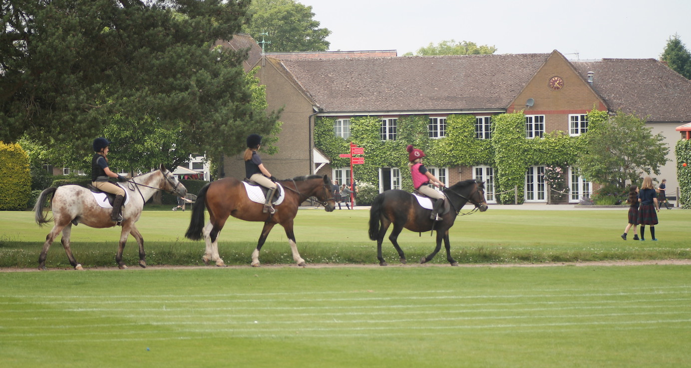 The Elms