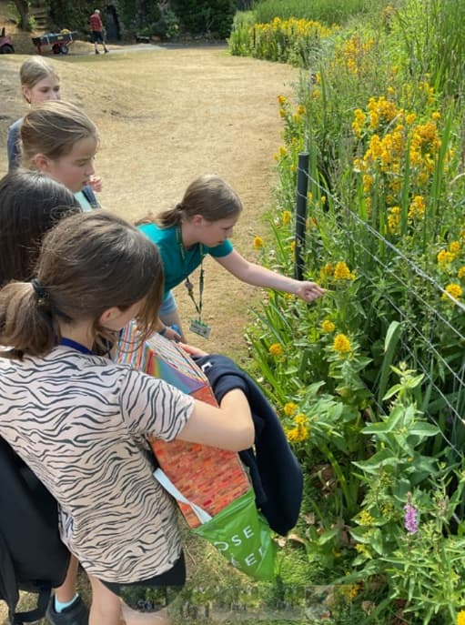 London School Awarded Prestigious Harmony Accreditation for Excellence in Sustainability